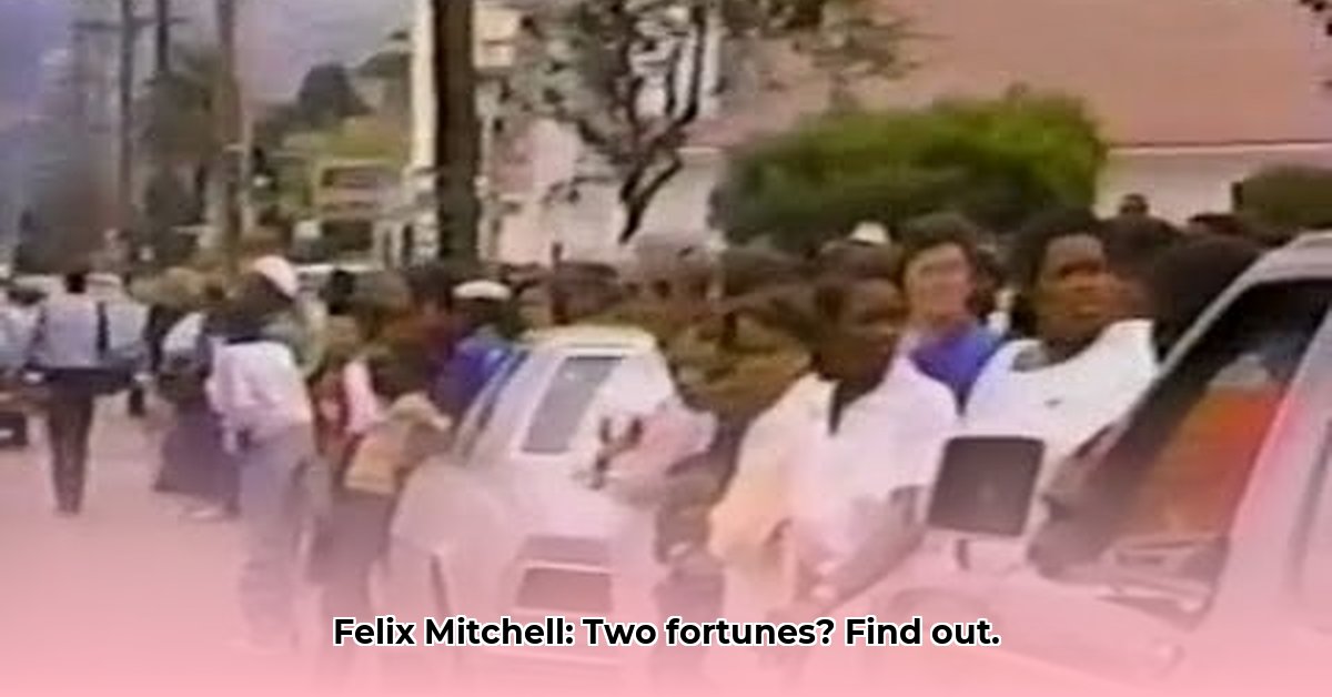 felix-mitchell-net-worth
